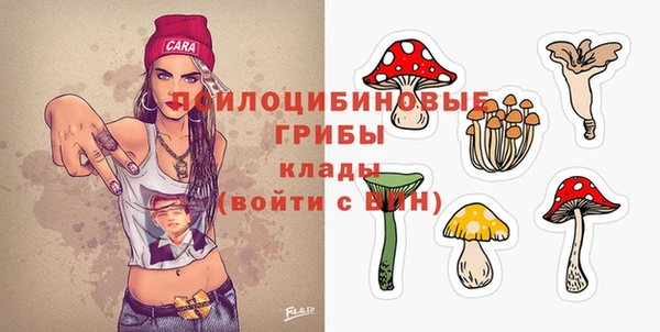 мескалин Нефтегорск