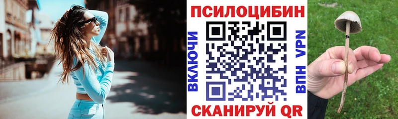 Купить  Ейск  Галлюциногенные грибы Psilocybe 